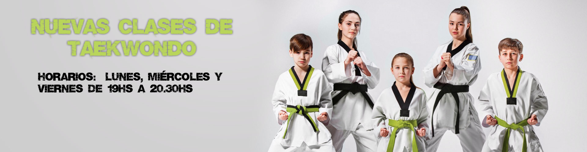 Banner de taekwondo
